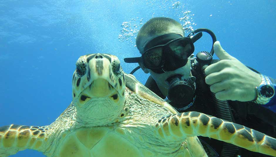 Water Sports In Cancun Bekare Transfers Blog